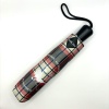 Parapluie Wened